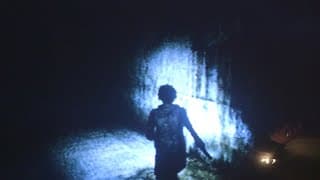 Gargoyle (2017)