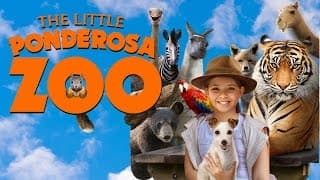 The Little Ponderosa Zoo - Dove Approved Family Feature Film - Trailer