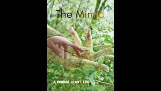 The Mimic
