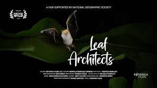Leaf Architects - Trailer