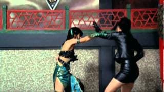 獣拳戦隊ゲキレンジャーＶＳボウケンジャー(プレビュー)