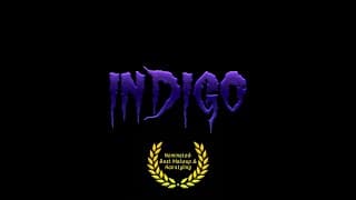 INDIGO - Wolfgang Gegenhuber - Freshman (Sundown 2025)