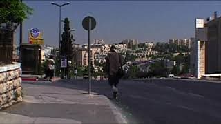 Francis Alÿs The Greenline