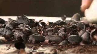 Hot Docs Trailers 2011: THE CHOCOLATE FARMER