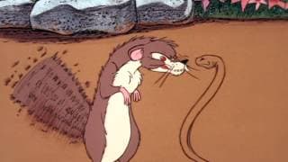 Rikki-Tikki-Tavi - Clip