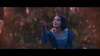 Wonder