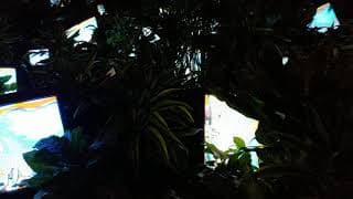 TV Garden by Nam June Paik