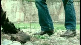 The Living World / Le Monde vivant (2003) - Trailer
