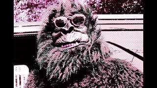 But Did You Notice The Gorilla? | Official Trailer