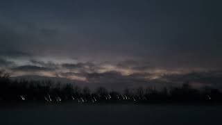 i heard the geese cry
