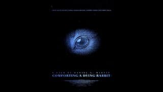 Comforting A Dying Rabbit - Trailer