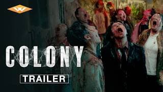 International Trailer