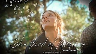 The Bird of Paradise - A Narrative Short Film