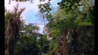 Jane And The Lost City Trailer