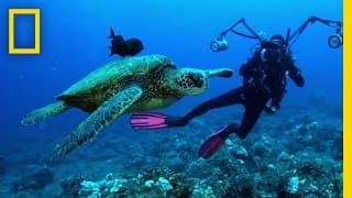 Understanding the Oceans | Sea of Hope: America's Underwater Treasures