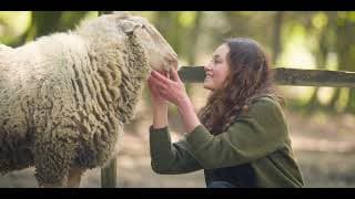 "CARNE - The unsustainable Footprint" TRAILER