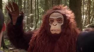 Sasquatch Trailer (Official)