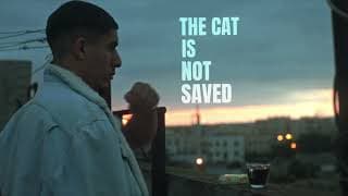 The cat is not saved | The film Teaser