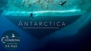 Gombessa 3 - Antarctica - Ep02
