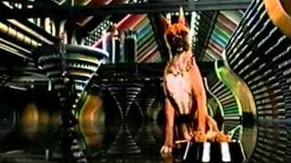 DOGGIEWOGGIEZ! POOCHIEWOOCHIEZ! TRAILERWRAILER!