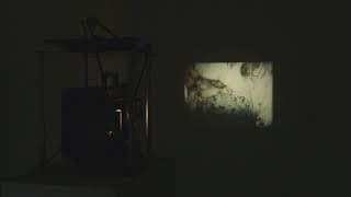 CLEMENT COGITORE - Sans titre (Lascaux) - Film 16mm - Collection FRAC Auvergne
