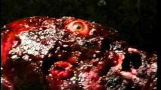 LIVING A ZOMBIE DREAM Trailer