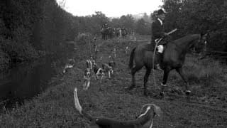 200 Packs of Fox Hounds Begin Season's Sport (1921)