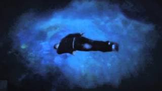 Trailer | A Sea Change | Nina de Vroome