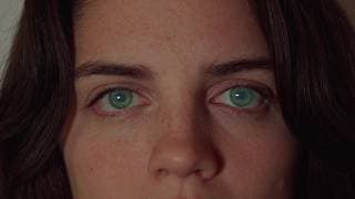A Life in Colour (2026) | Proof of Concept
