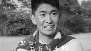 太陽の季節