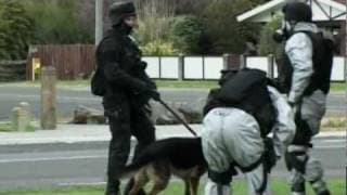 OPERATION 8 - Trailer