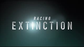 "Racing Extinction" Official Trailer