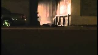 Cannibal Dead  The Ghouls Trailer 2003