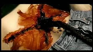 Projekt Fleisch