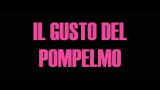 IL GUSTO DEL POMPELMO Trailer