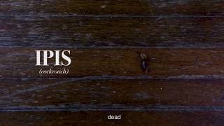 IPIS II