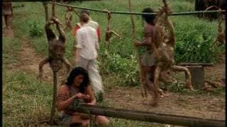 Flying Virus Theatrical Trailer