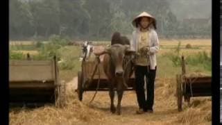 Teaser Documental Diario Vietnam