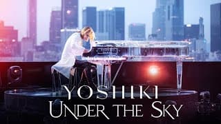 International Trailer