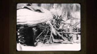 The Bug Trainer Trailer