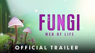 Official Theatrical Trailer