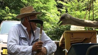 ナオトひとりっきり予告編