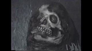 Severed Body Parts Full Slasher Movie
