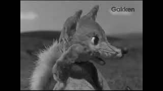Inemuri Buu-Chan [ 1959 ]
