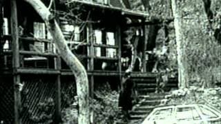 Chameleon - Trailer