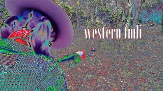 western fmli