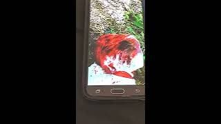 The Torture Memos “frantic call” trailer