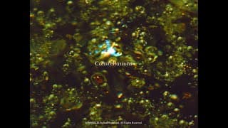 Constellations (16mm, trailer)