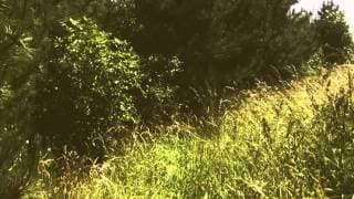 A Werewolf in Slovenia - Trailer