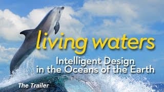 Living Waters - Official Trailer
